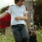 supermanjuniornovel5