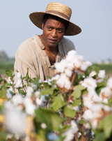 12 Years a Slave-review