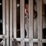 child-of-god-picture-2