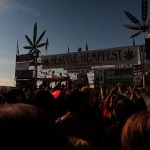 Hempfest2