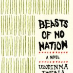 beasts-of-no-nation-book-cover
