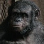 dawn-of-the-planet-of-the-apes-koba