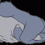 Baloo_laughing