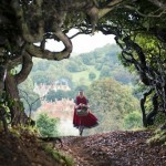 into-the-woods-picture-6