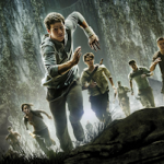 The Maze Runner