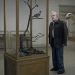 A Pigeon Sat on a Branch Reflecting on Existence
