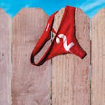 Neighbors 2 Sorority Rising First Trailer