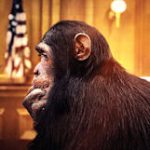 Unlocking the Cage review